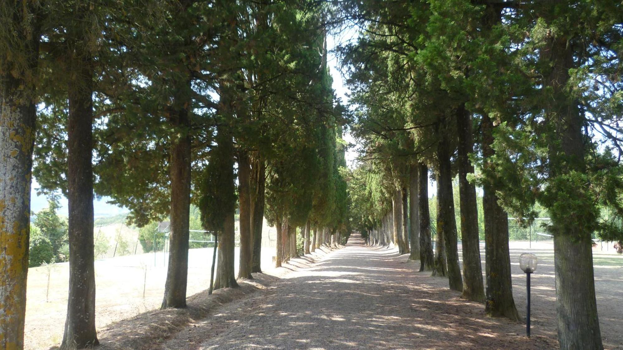 Hotel Villa San Donino Citta di Castello Bagian luar foto